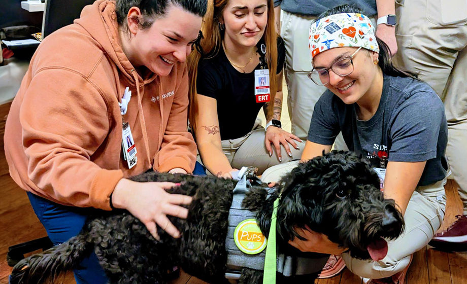 Parkview co-workers petting black dog