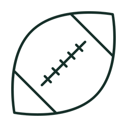 football icon